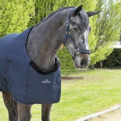 Equiline Bavette Buckle Protector