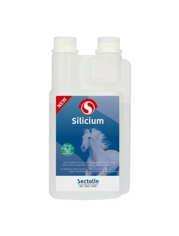 Silicium