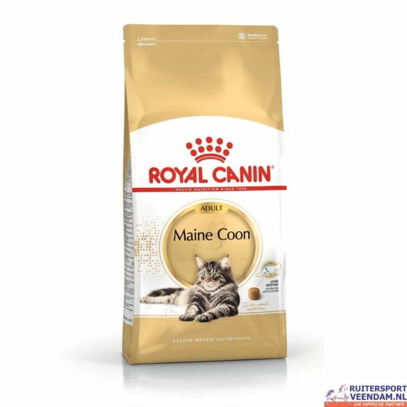 Maine coon RC