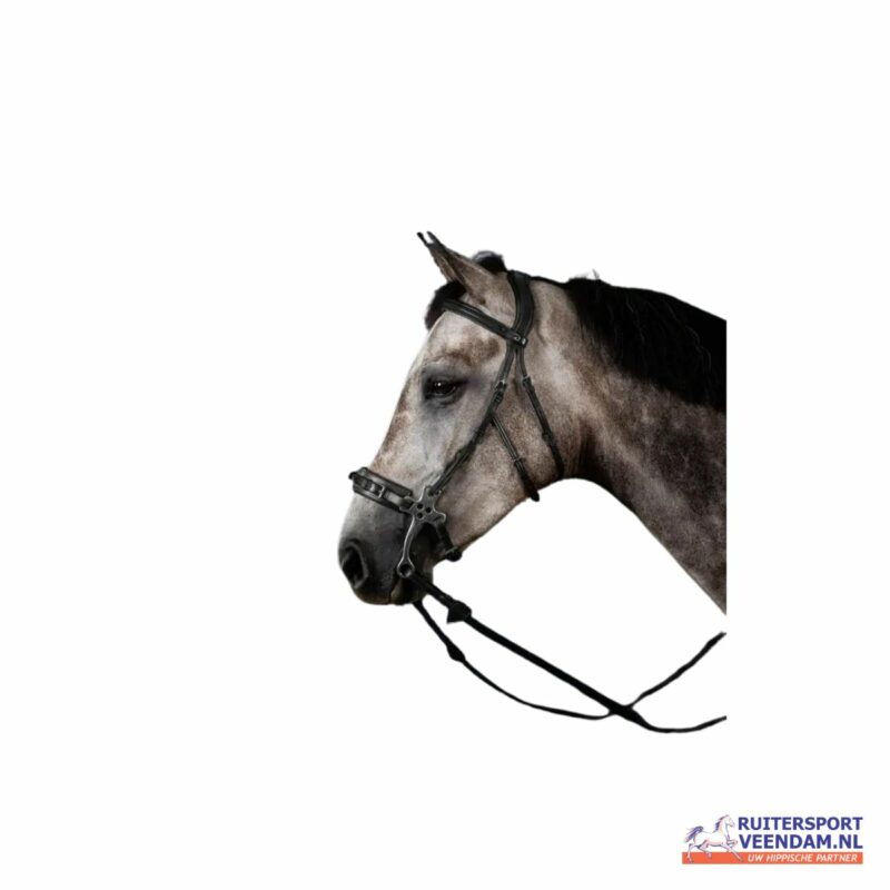 Hackamore hoofdstel