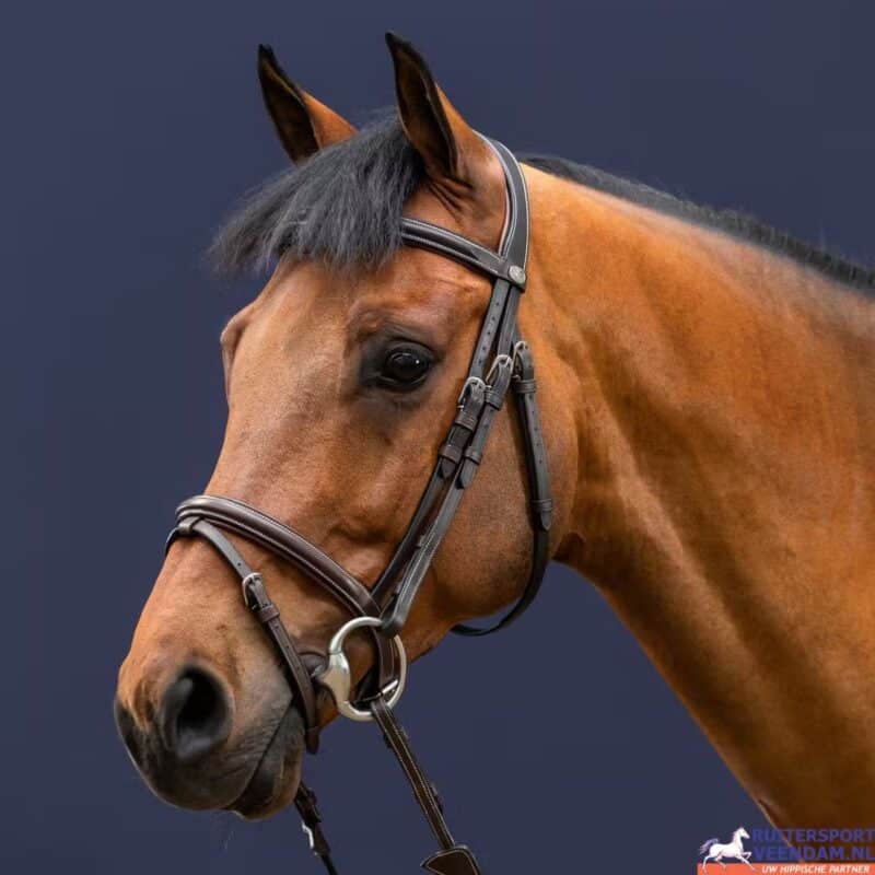 Dy'on Flash Noseband Bridle