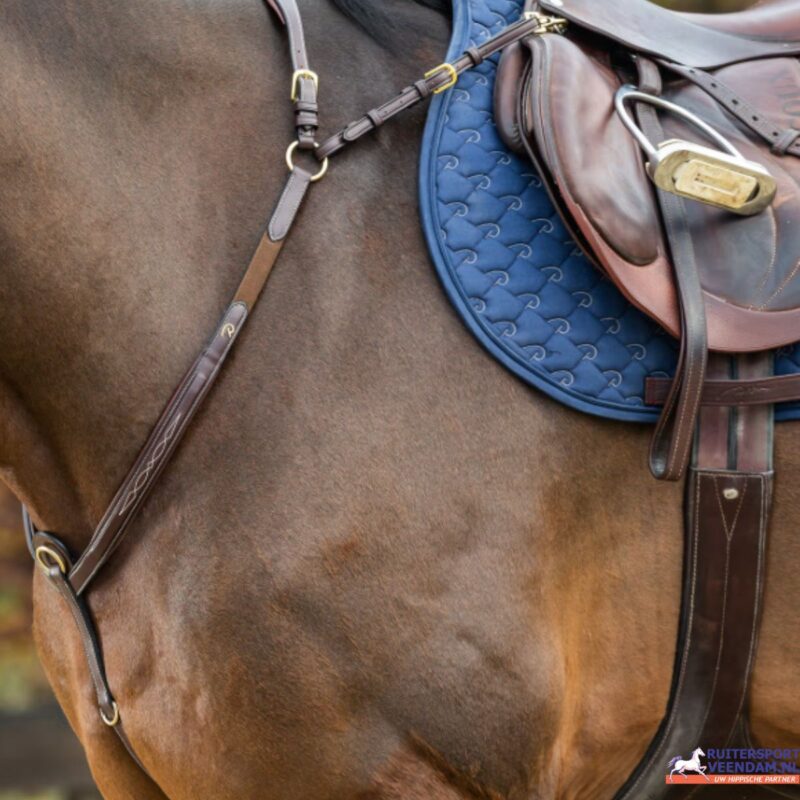 Dyon Breastplate - Afbeelding 3