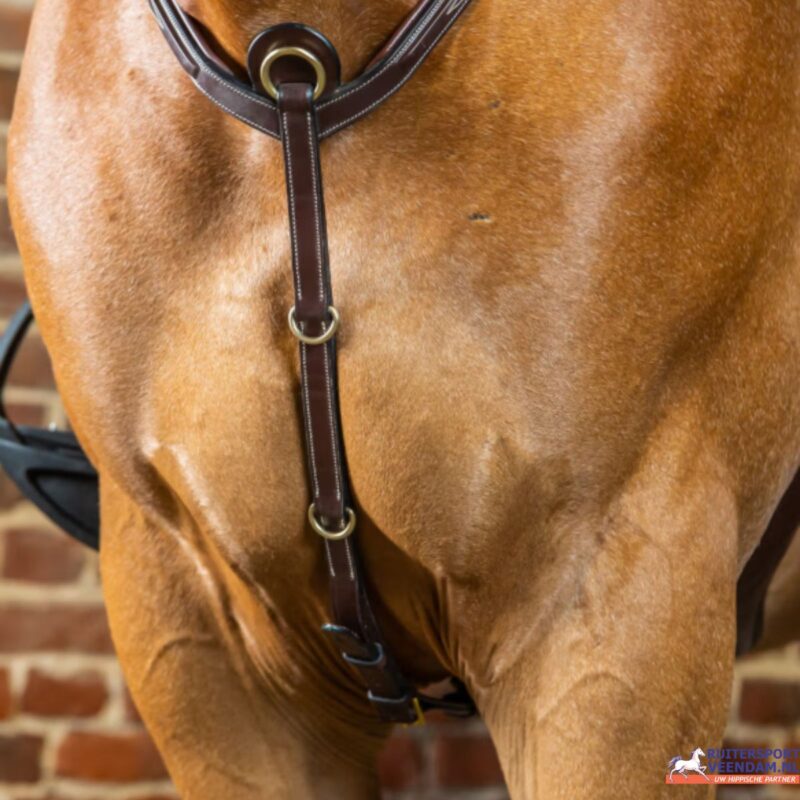 Dyon Breastplate