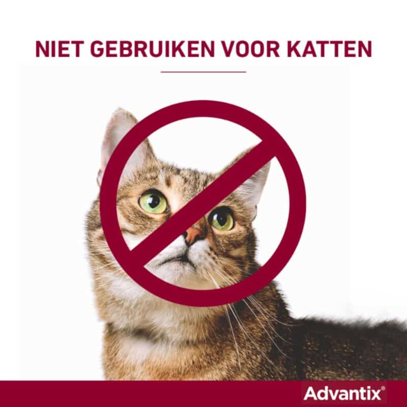 Bayer Advantix 400 - Afbeelding 3