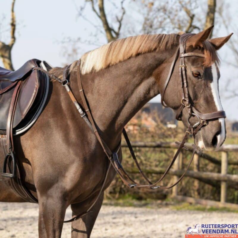 QHP Borsttuig Basic pro - Afbeelding 4