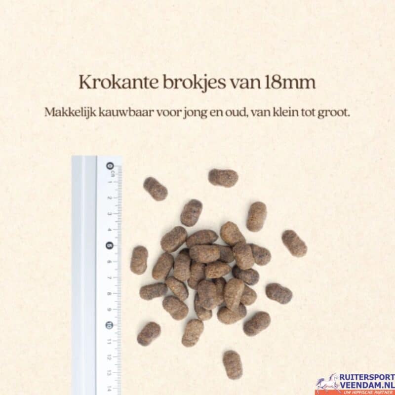 Vitastyle Hond Spieren + Gewrichten
