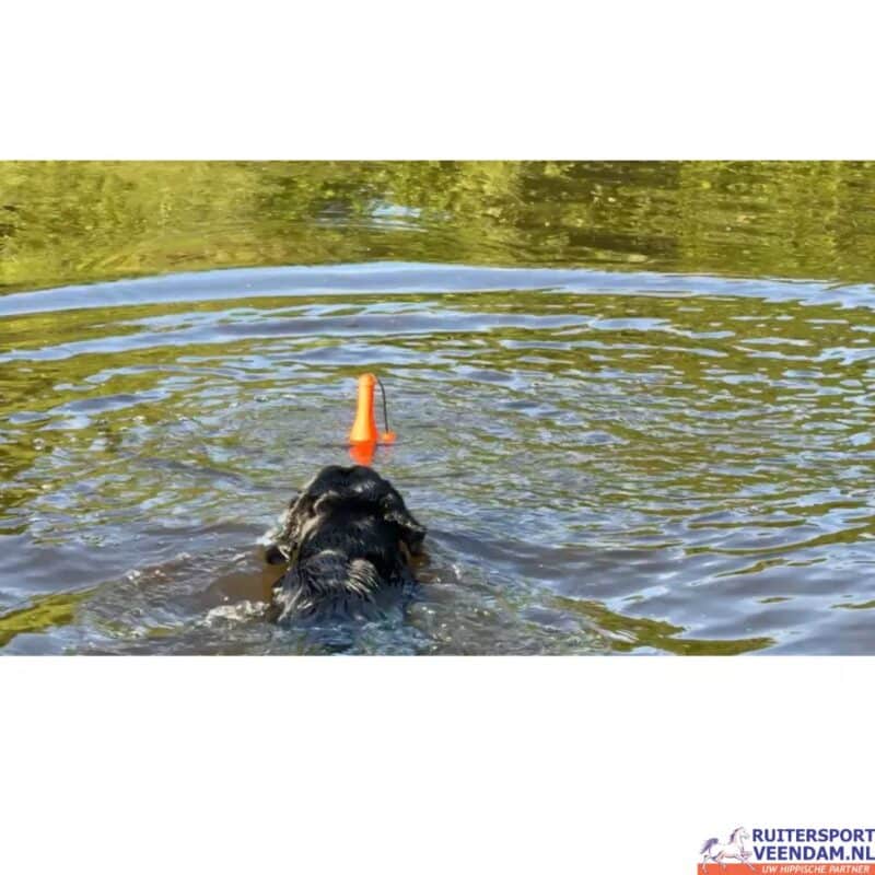 Dog Comets Bobber