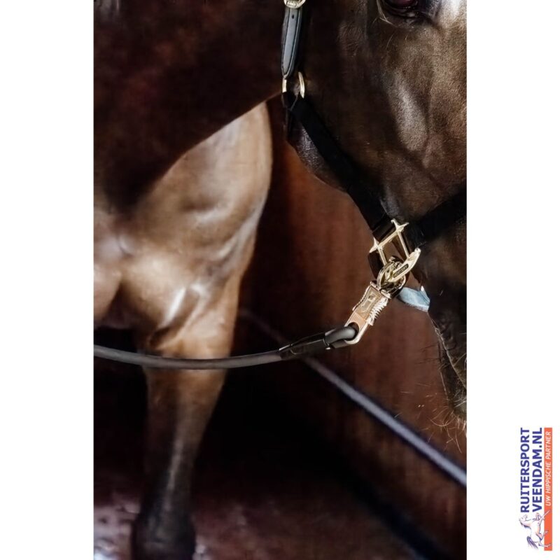 Horse Box Lead & Cross Ties Silicone