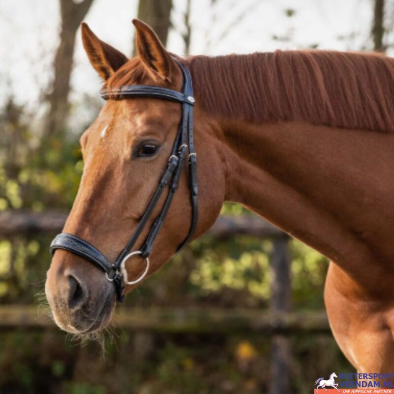 QHP Hoofdstel Luxe lage Neusriem - Afbeelding 2