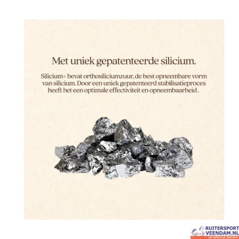 VITALstyle Silicium+