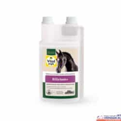 VITALstyle Silicium+