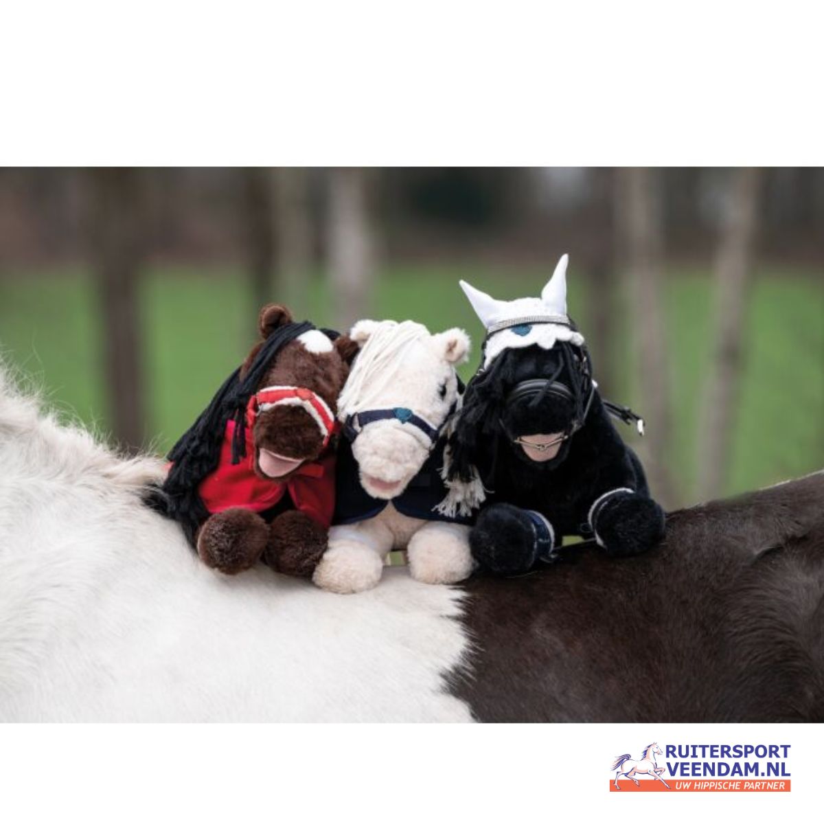 HKM Cuddle Pony 1 HKM cuddle pony (4)