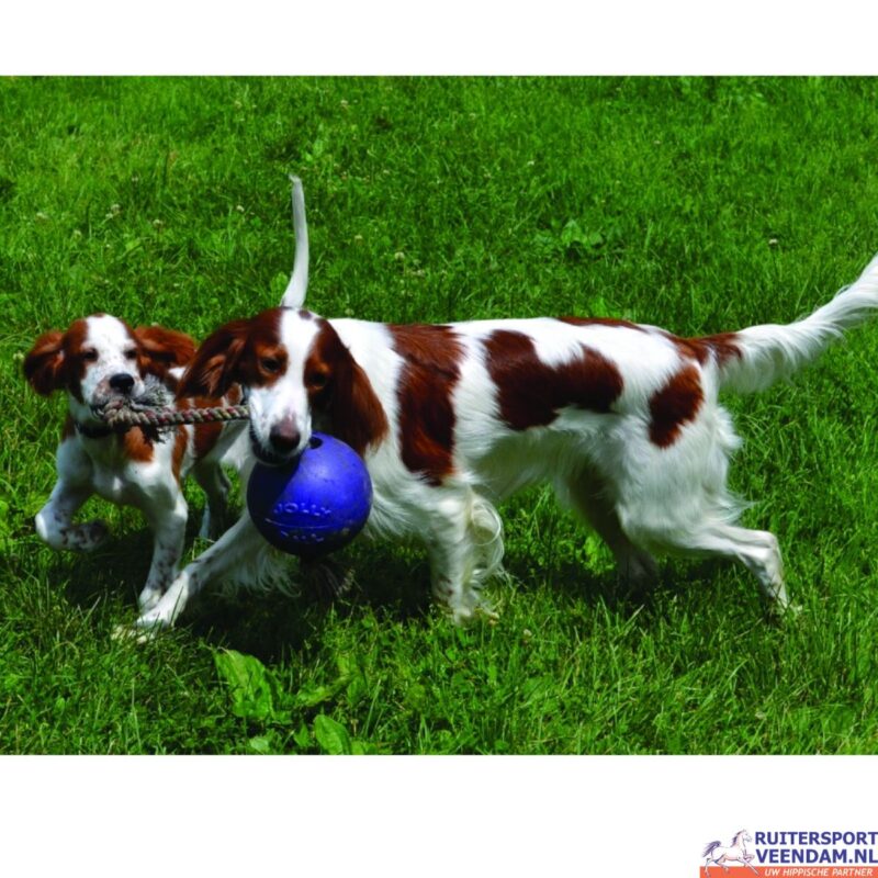 Jolly Ball Romp-n-Roll