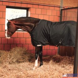 Dominick staldeken Medium 200 gr