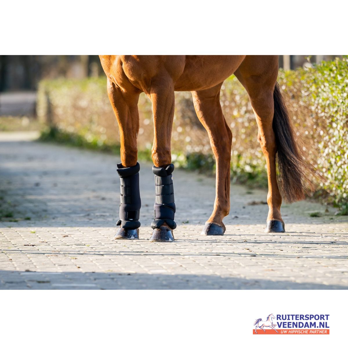 HB Showtime Stal en Transportbeschermers 2 HB beschermers stal en transport