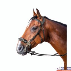 Dy'on Hackamore Bridle D Collection