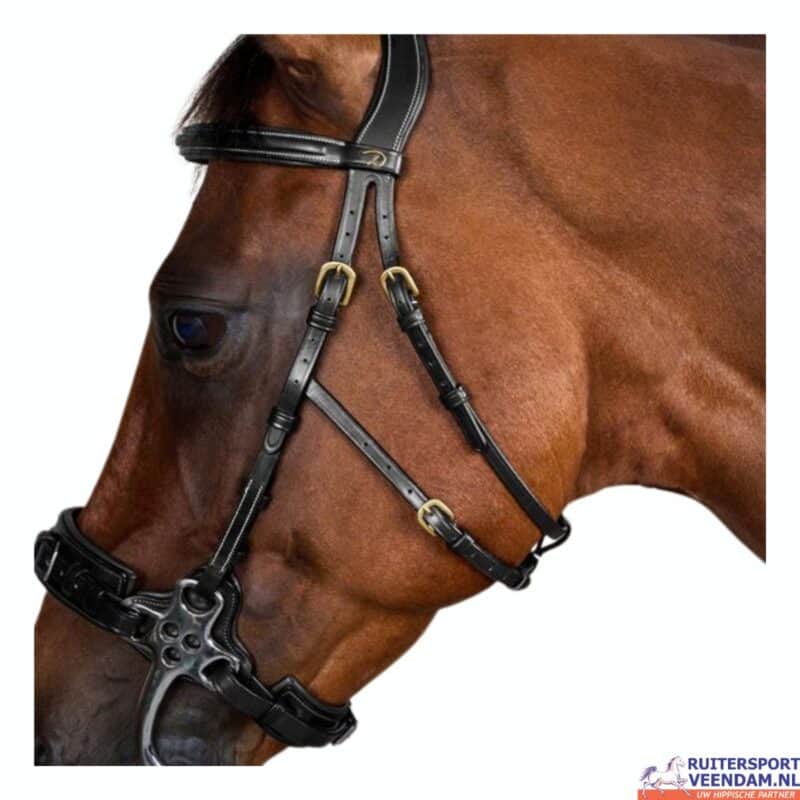 Dy'on Hackamore Bridle D Collection
