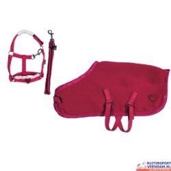 HKM Starterset -Cuddle Pony- (1)