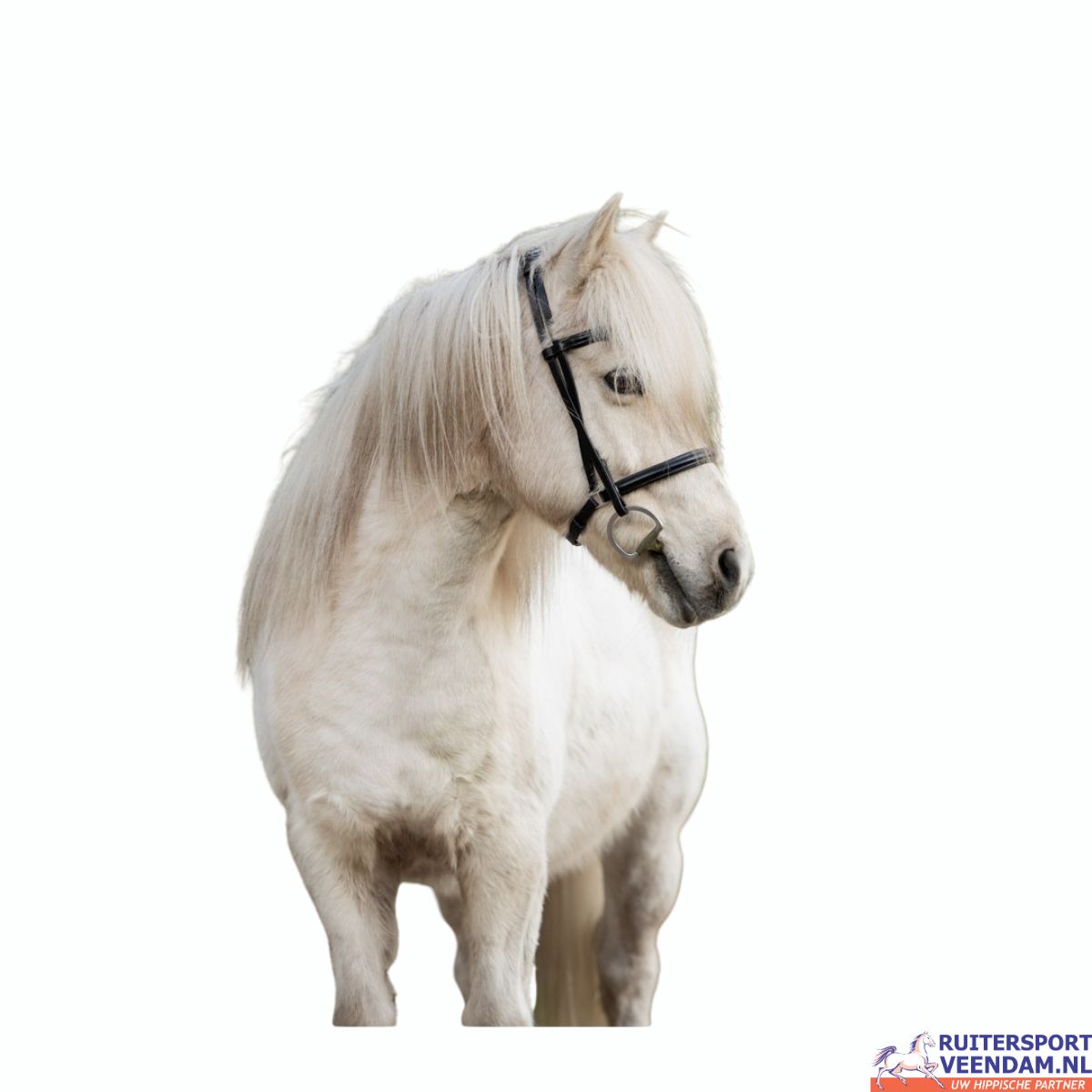 BR IJslander Hoofdstel Bourne 2 BR IJslander Hoofdstel Bourne - Afbeelding 2