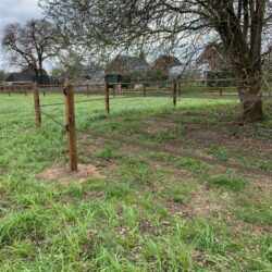 Alles voor uw paard, hond, kat of andere huisdier 1 Weide