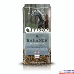 Hartog Balancer Recreation