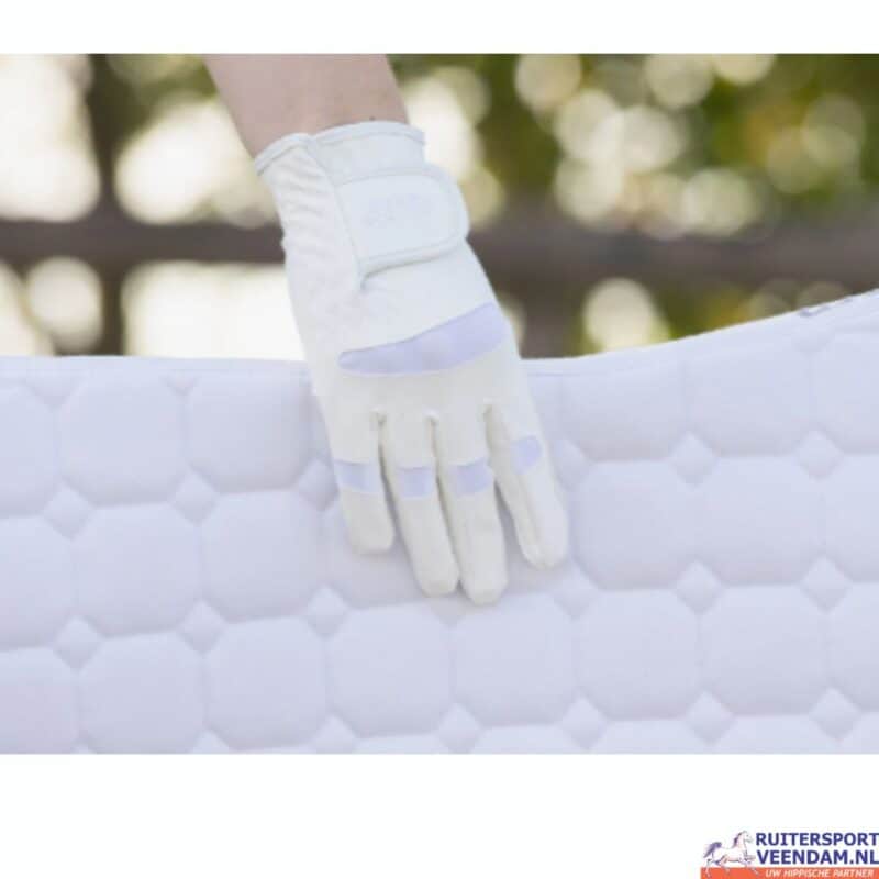 QHP Handschoen Multi (5)