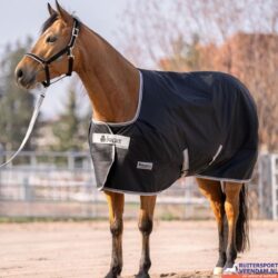 Bucas Anniversary Turnout SD 0 gram