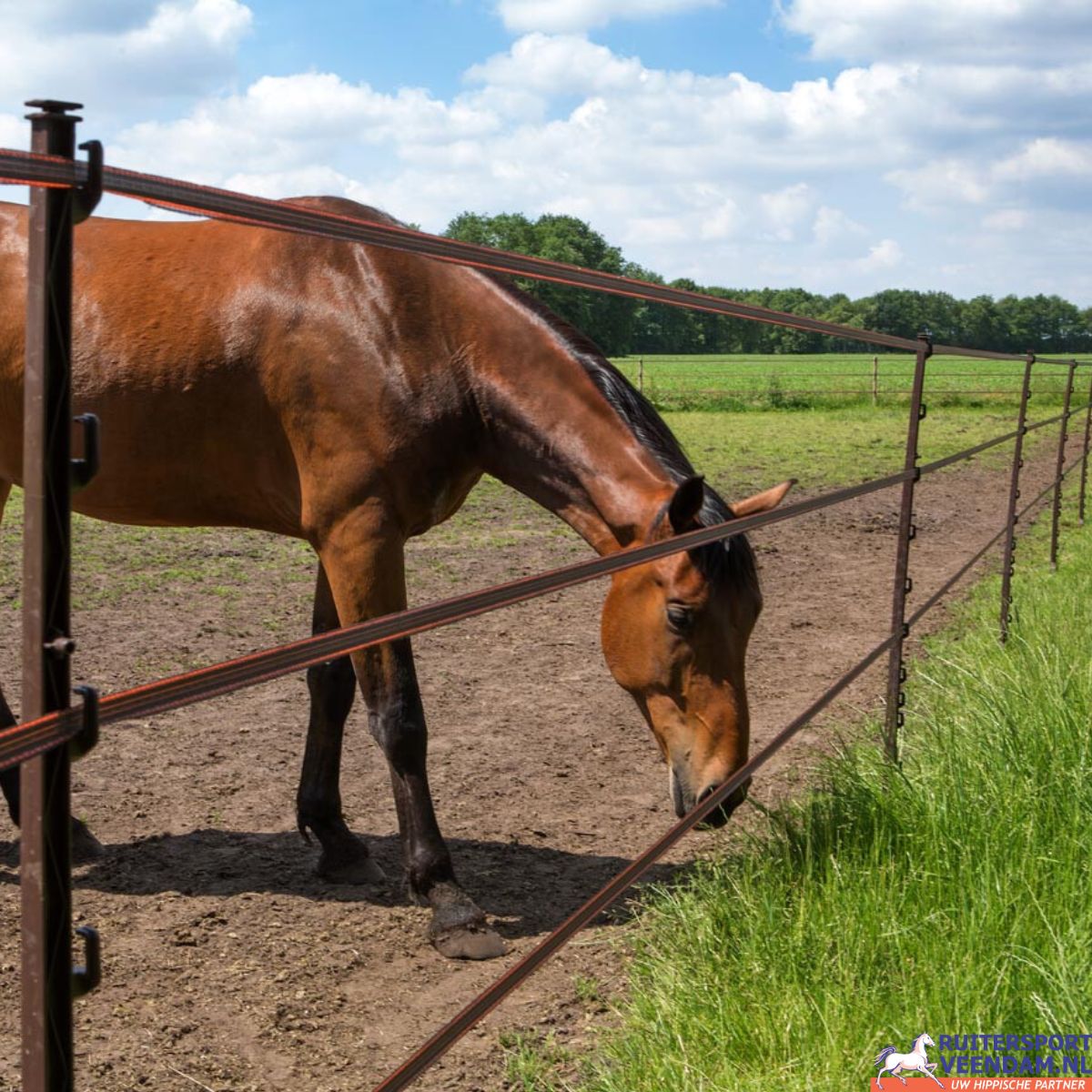 Duopack Stijgbeugelpaal 2X5St 2 Duopack Stijgbeugelpaal 2X (1)