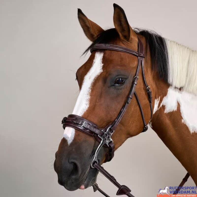 Dy'on Hackamore Bridle US (5)