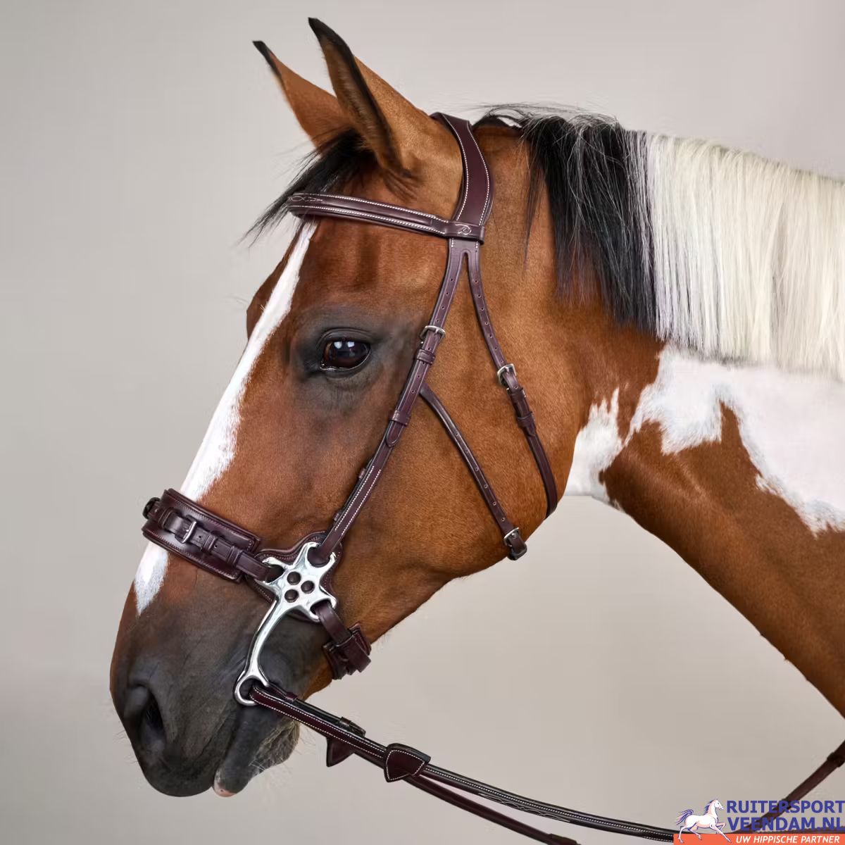 Dy'on Hackamore Bridle US 5 Dy'on Hackamore Bridle US (5)