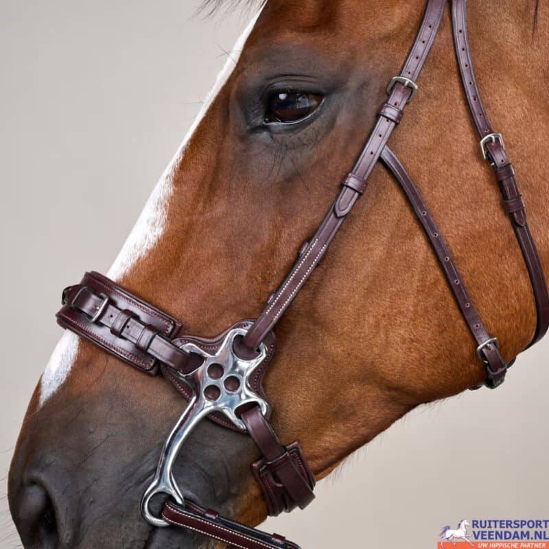 Dy'on Hackamore Bridle US (5)