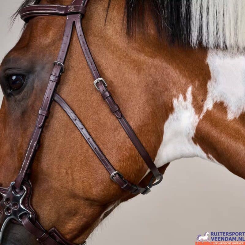 Dy'on Hackamore Bridle US (5)