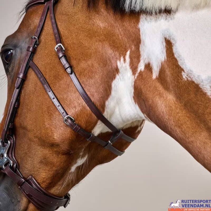 Dy'on Hackamore Bridle US (5)