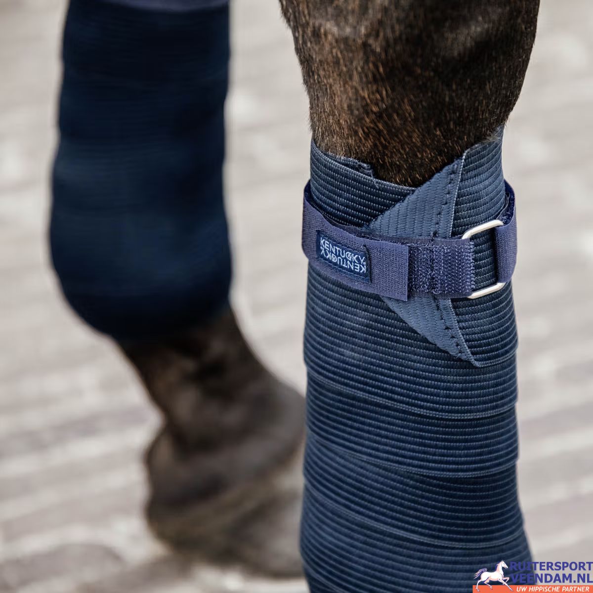 Elastische Bandage Kentucky 3 Elastische Bandage Kentucky (1)