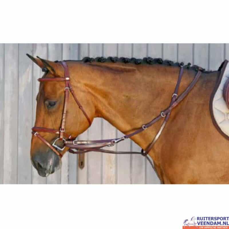 Equilook Thiedeman Teugel