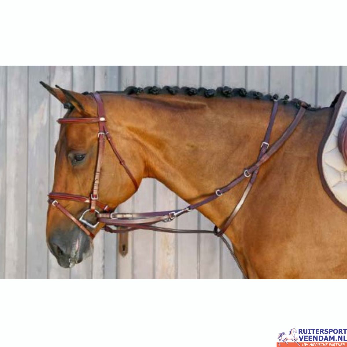 Equilook Thiedeman Teugel 1 Equilook Thiedeman Teugel