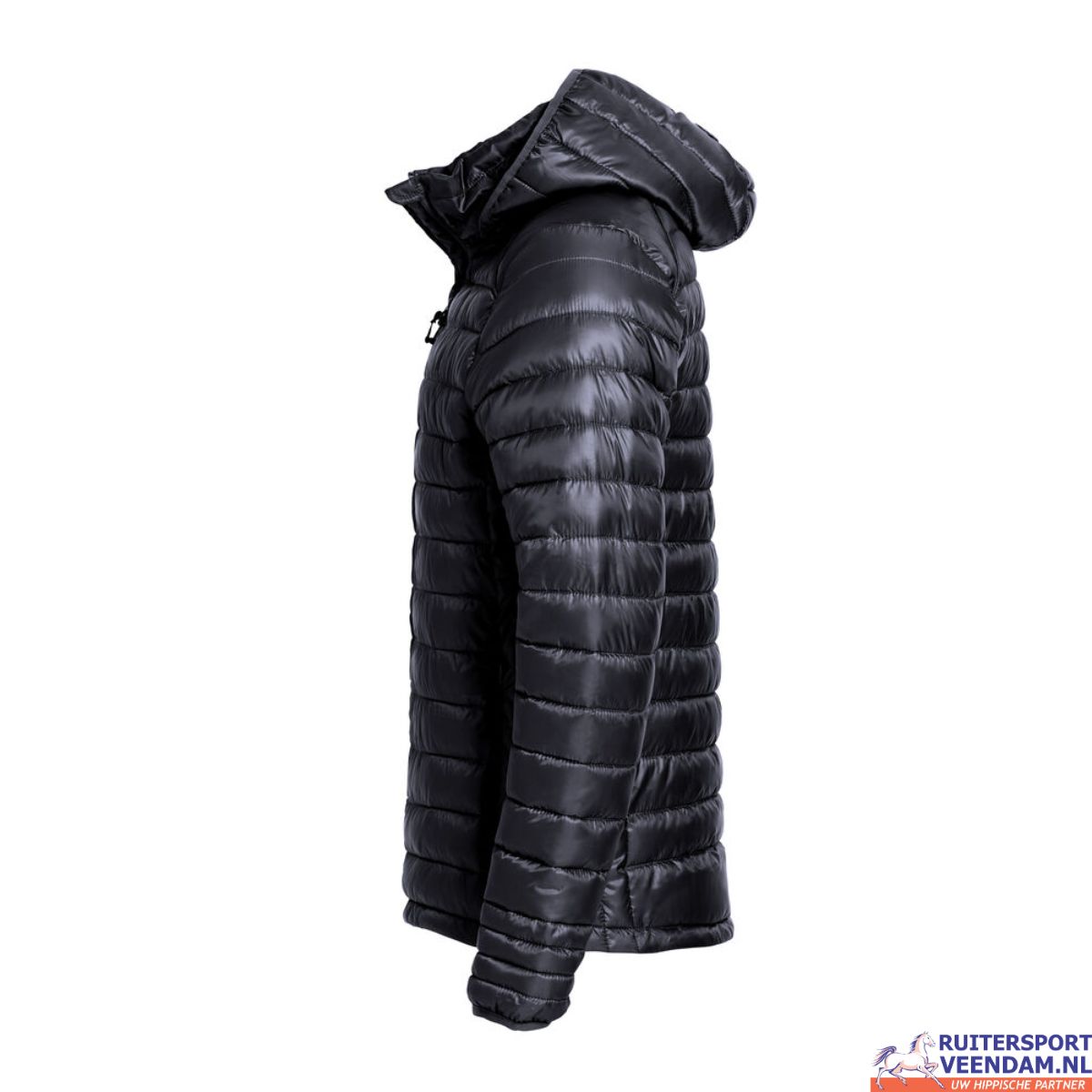 Hudson Jas Clique 2 Hudson Jas Clique