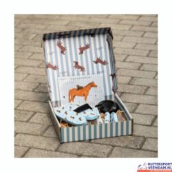 QHP Borstelset Stable Buddy (1)