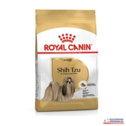 RC Shih Tzu 24 Adult