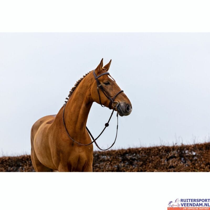 Trust Dublin Rope Noseband Bridle