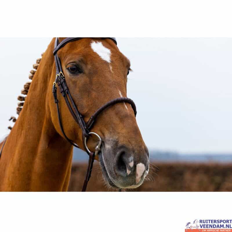 Trust Dublin Rope Noseband Bridle