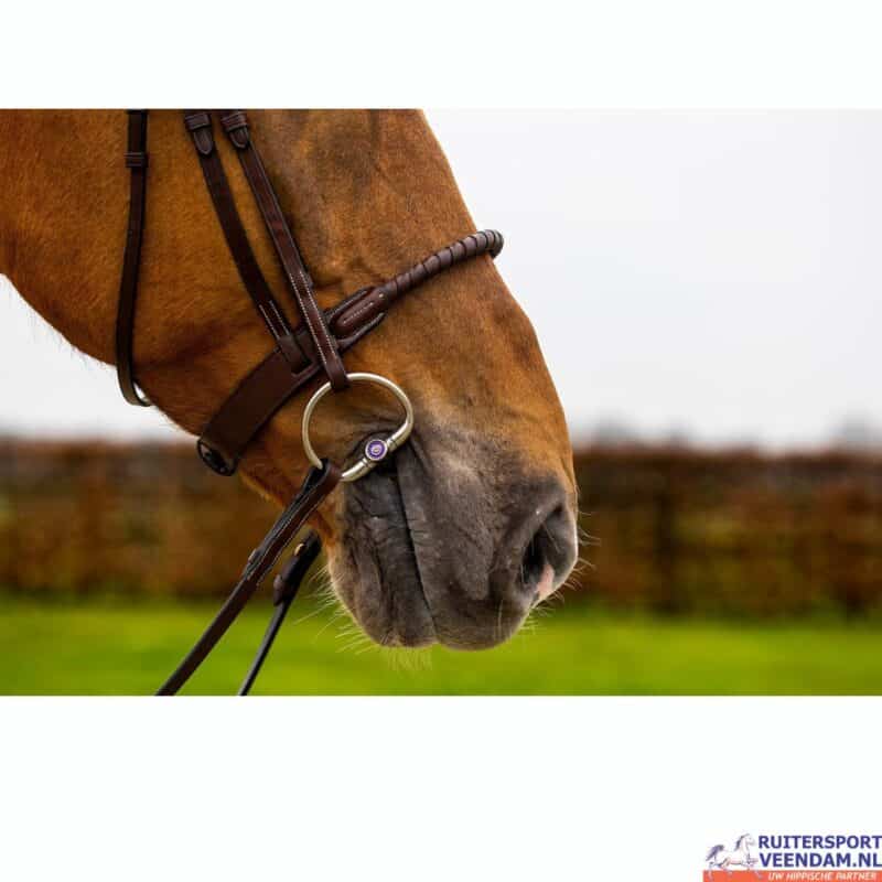Trust Dublin Rope Noseband Bridle