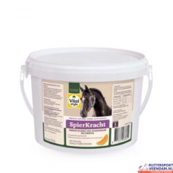 Vitastyle Spierkracht