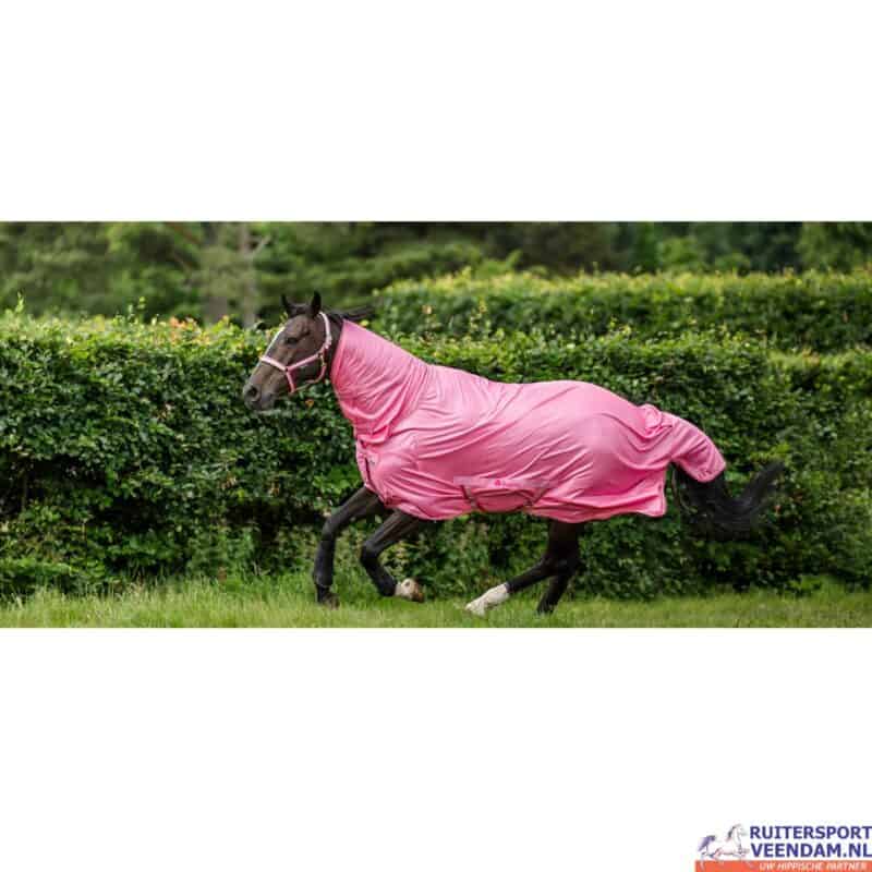 Zwarte paard in roze Bucas fly sheet rennend in de wei.
