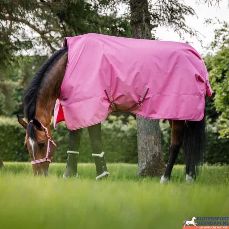 Paard in roze turnout deken in groene wei met bomen.
