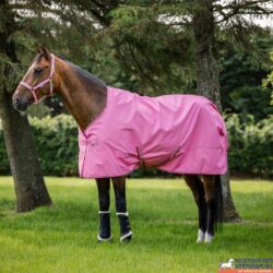 Bucas Freedom Turnout Light 0 gram