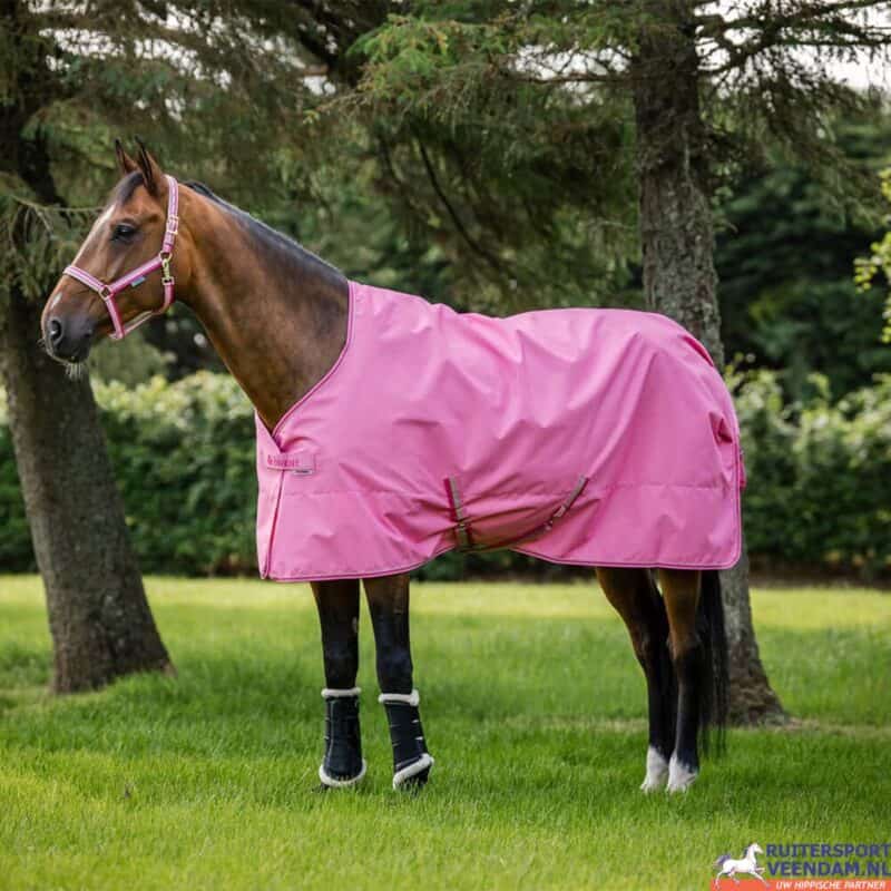 Paard in roze turnout deken in groene omgeving.