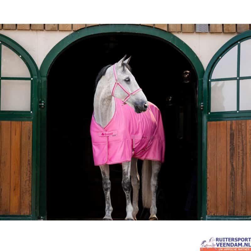 Grijze paard in roze Bucas Freedom Twill Sheet in staldeuren.