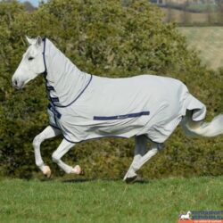 Bucas Sweet-Itch Pony