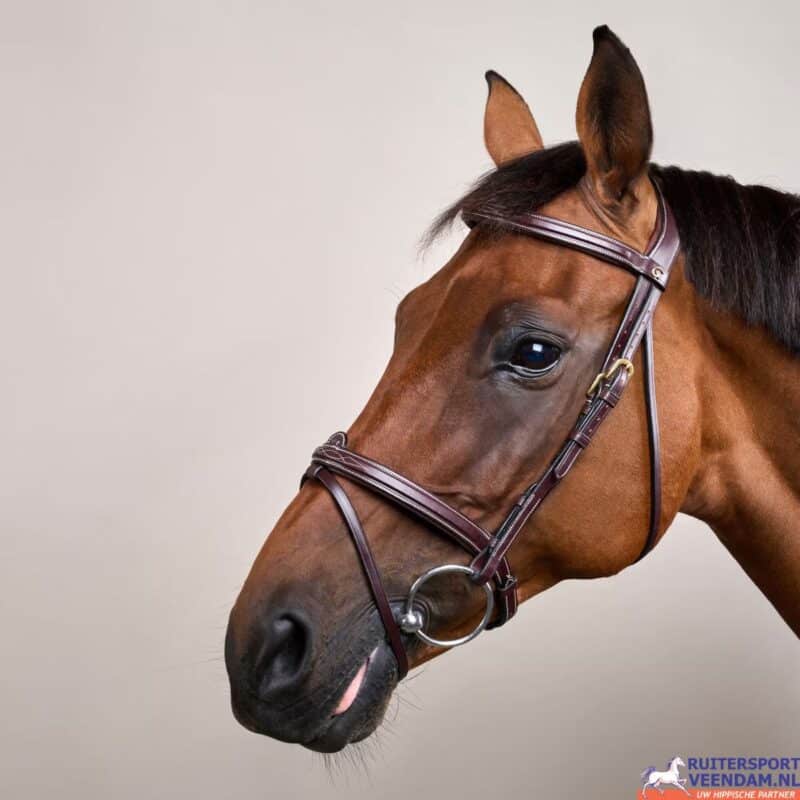 Dyon Flash neusriem hoofdstel D-Collection voor ruitersport.